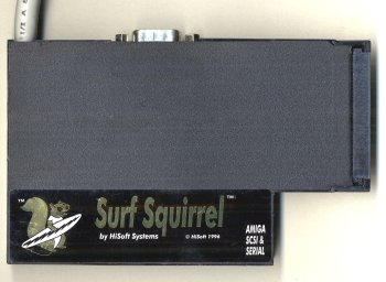 Surf Squirrel, Top View